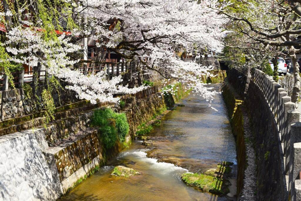 Komorebi/こもれび Takayama  Zewnętrze zdjęcie